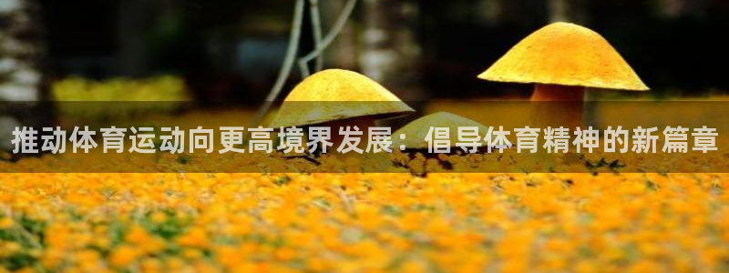 J9官方正版app五金厂：推动体育运动向更高境界发展：倡导体