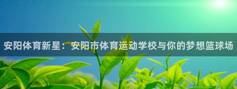 J9官方正版app五金厂：安阳体育新星：安阳市体育运