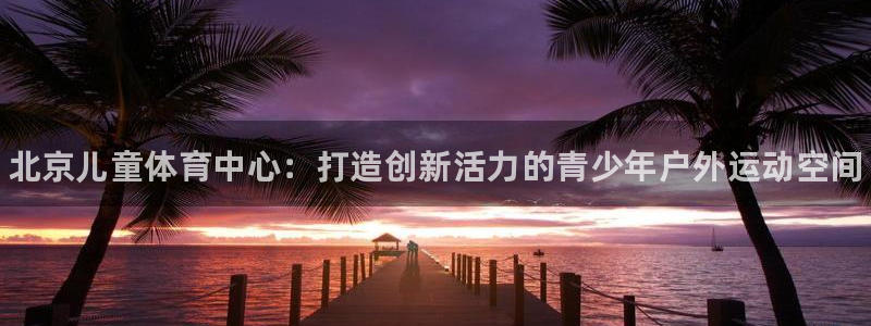 J9官网下载平台注册流程图：北京儿童体育中心：打造创