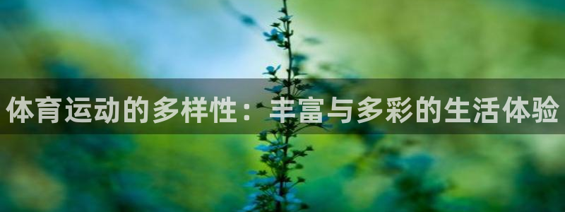 J9官网下载平台假的吗是真的吗：体育运动的多样性：丰富与多彩