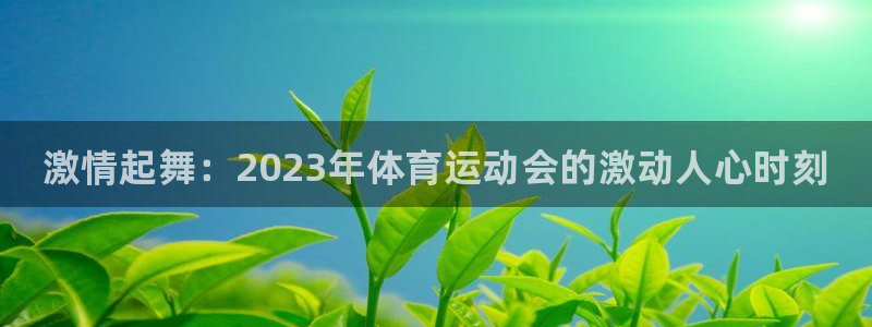 J9官网下载平台注册：激情起舞：2023年体育运动会