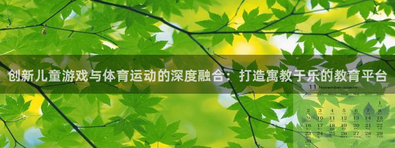 注册J9官方正版app：创新儿童游戏与体育运动的深度融合：打