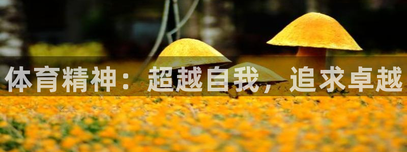 J9官网下载：体育精神：超越自我，追求卓越