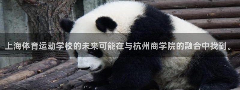 J9官网下载娱乐：上海体育运动学校的未来可能在与杭州