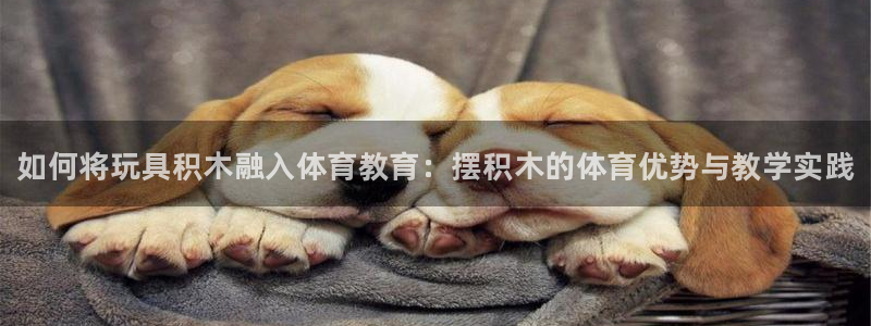 J9官网下载平台注册要钱吗安全吗：如何将玩具积木融入