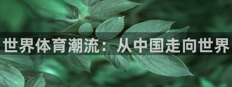 J9官网下载平台是正规平台吗：世界体育潮流：从中国走向世界