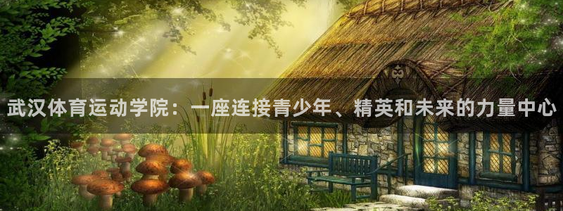 J9官方正版app新能源：武汉体育运动学院：一座连接青少年、