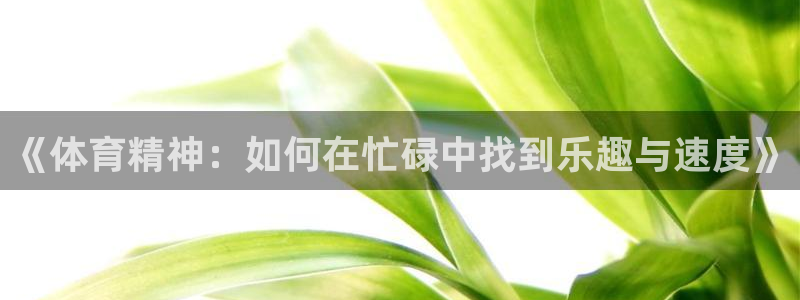 J9官方正版app集团简介：《体育精神：如何在忙碌中找到乐趣