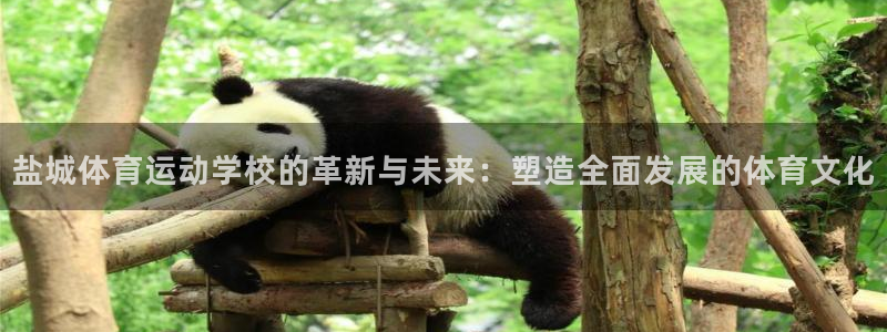J9官方正版app开户：盐城体育运动学校的革新与未来：塑造全