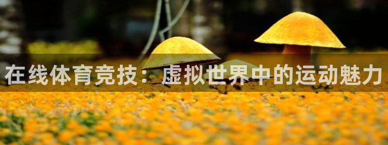 J9官方正版app娱乐：在线体育竞技：虚拟世界中的运