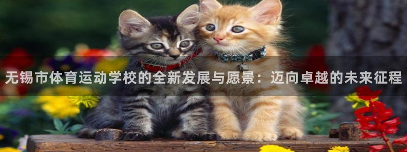 J9官网下载软件：无锡市体育运动学校的全新发展与愿景：迈向卓