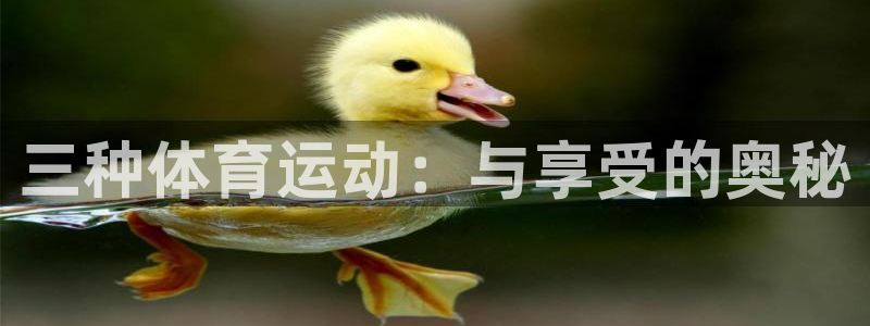 J9官网下载招商电话号码是多少：三种体育运动：与享受