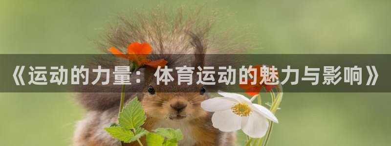 J9官网下载娱乐