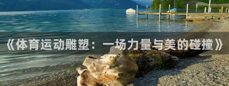 J9官网下载平台注册流程图：《体育运动雕塑：一场力量